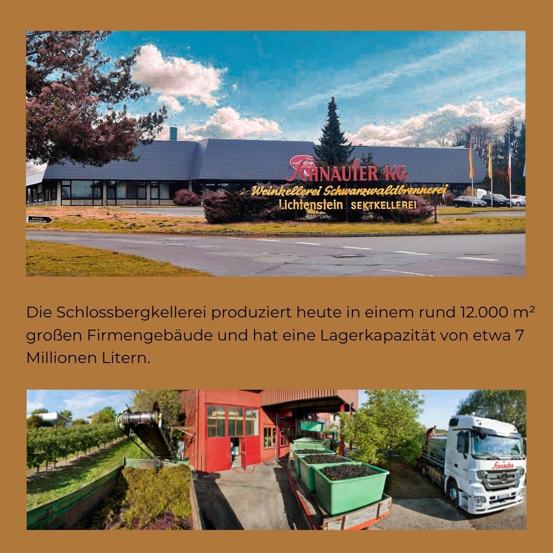 Sekt Mixbox – Riesling, Pinot Noir Rosé & ALKOHOLFREI – Premium Qualität aus Deutschland – Familienkellerei seit 1918