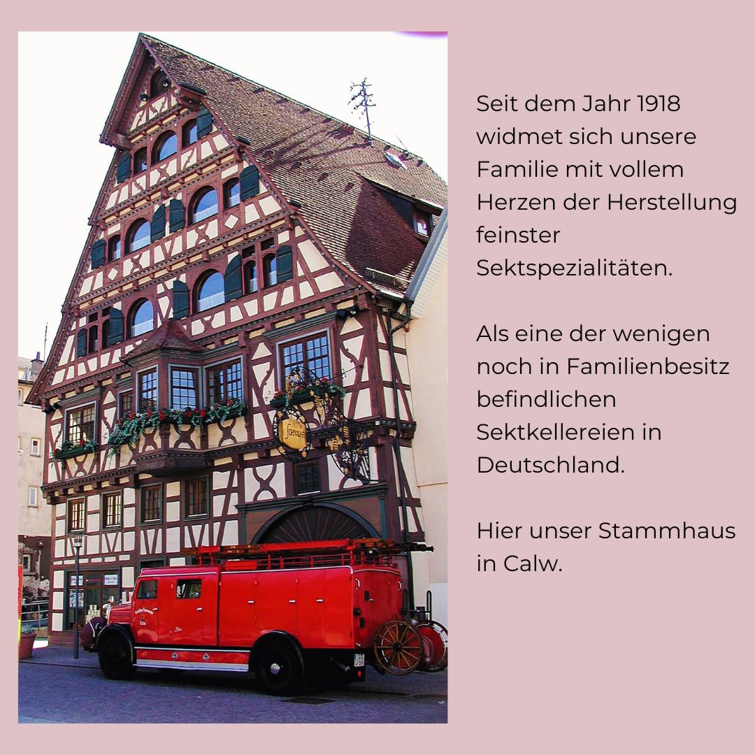 Schnaufer Pinot Rosé Brut – Premium Jahrgang Rosé Sekt aus 100 % Pinot Noir – Feinperlig, Fruchtig & Trocken