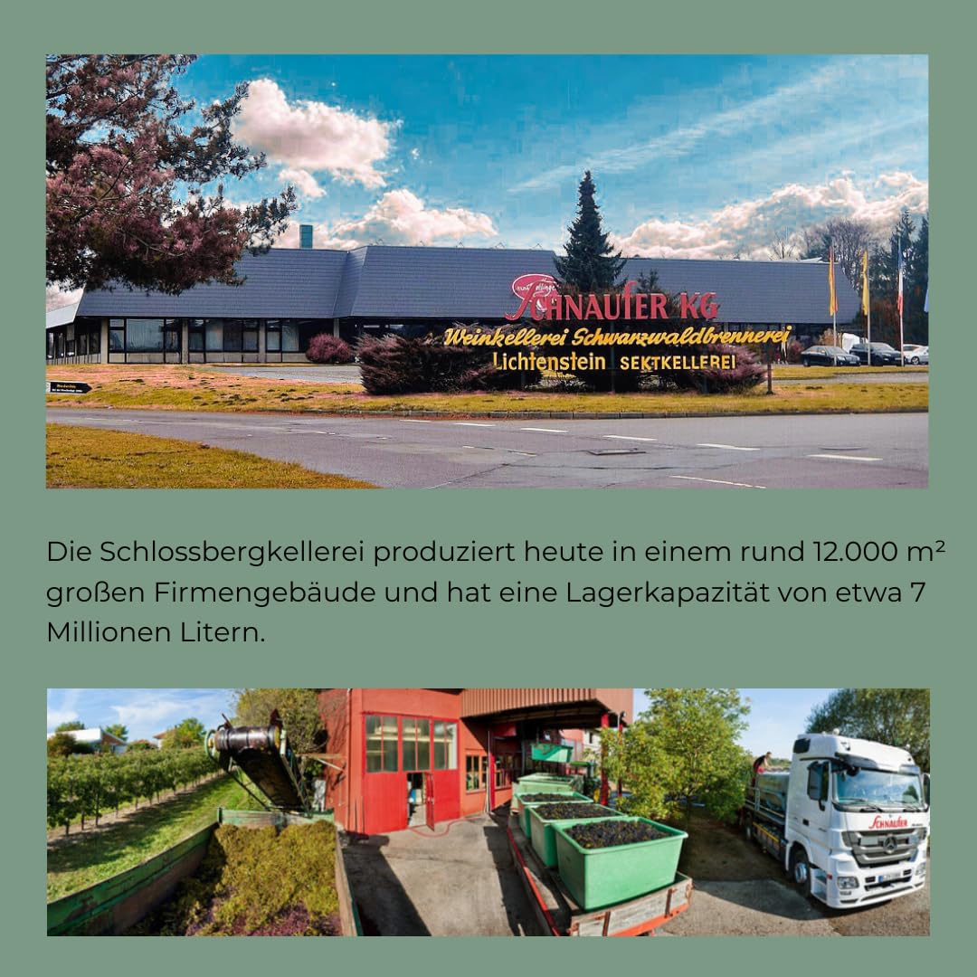 Schnaufer Riesling Extra Trocken Jahrgangssekt – Prämierter Sekt mit Pfirsich & Apfelnoten – Feinperlig & Frisch