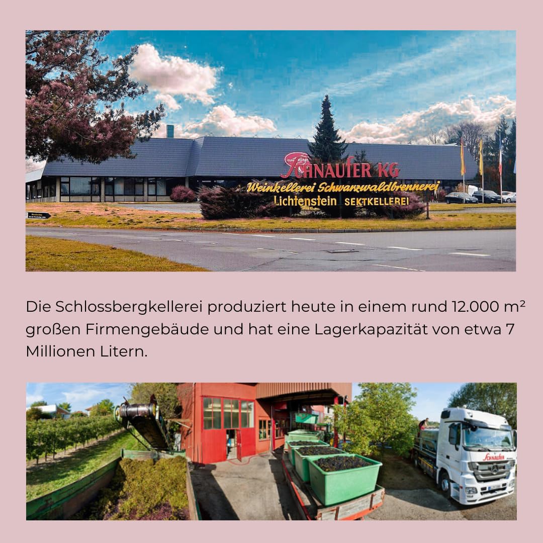 Schnaufer Pinot Rosé Brut – Premium Jahrgang Rosé Sekt aus 100 % Pinot Noir – Feinperlig, Fruchtig & Trocken