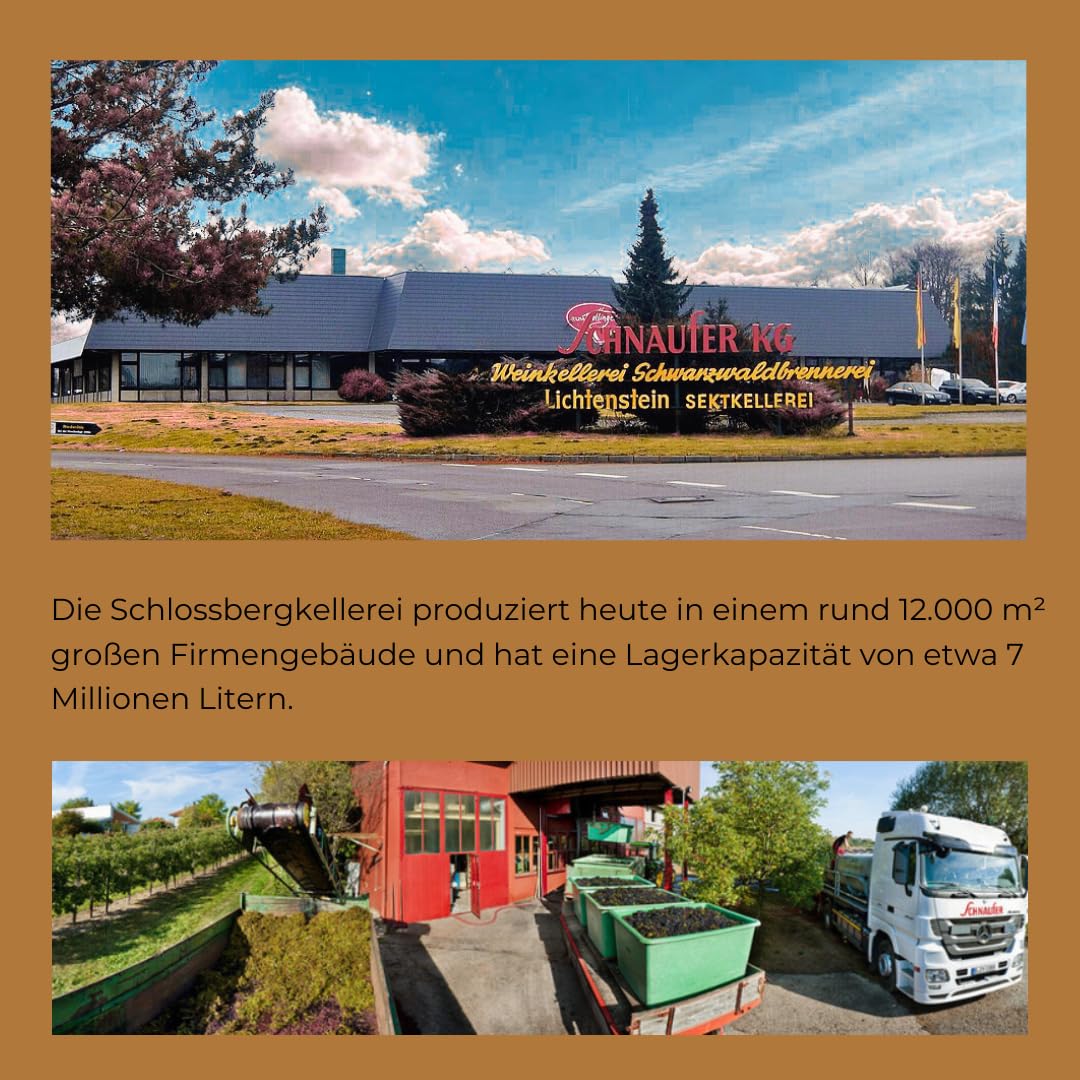 Schnaufer Chardonnay Brut – Trocken & Frisch mit feinem Mousseux – Prämierter Chardonnay Sekt