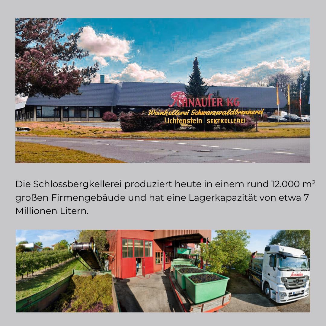 Schnaufer Platin Sekt Extra Trocken – Exklusiver Jahrgangs-Cuvée, aus Riesling & Chardonnay